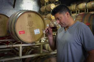 Winemaker Gio Balistreri Tasting from Barrels