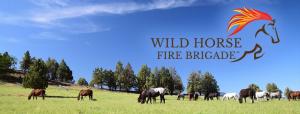 Wild Horse Fire Brigade is an all-volunteer CA-based 501-c-3 nonprofit organization whose mission is; Reducing catastrophic wildfire and saving American wild horses