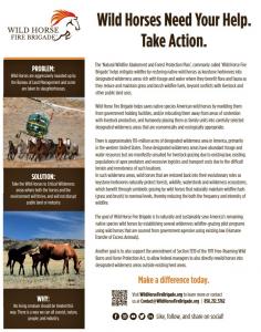 Shareable WILD HORSE FIRE BRIGADE Brochure
