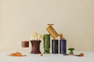 All of MUDWTR's hero products lined up with some mushrooms.