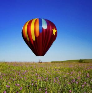 Sky Drifters Hot Air Balloon sitting in a field of wild flowers.