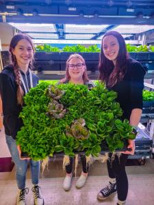 Student Technicians, Desiree Veeser, Presley Kasten & Lilly Franzen, Harvesting Food Direct to the Cafeteria, Green Bay High School