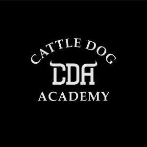 The best way to train your cattle dog, Cattle Dog Academy