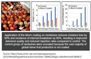 Akorn coating on fresh nectarines reduces weight loss and internal breakdown